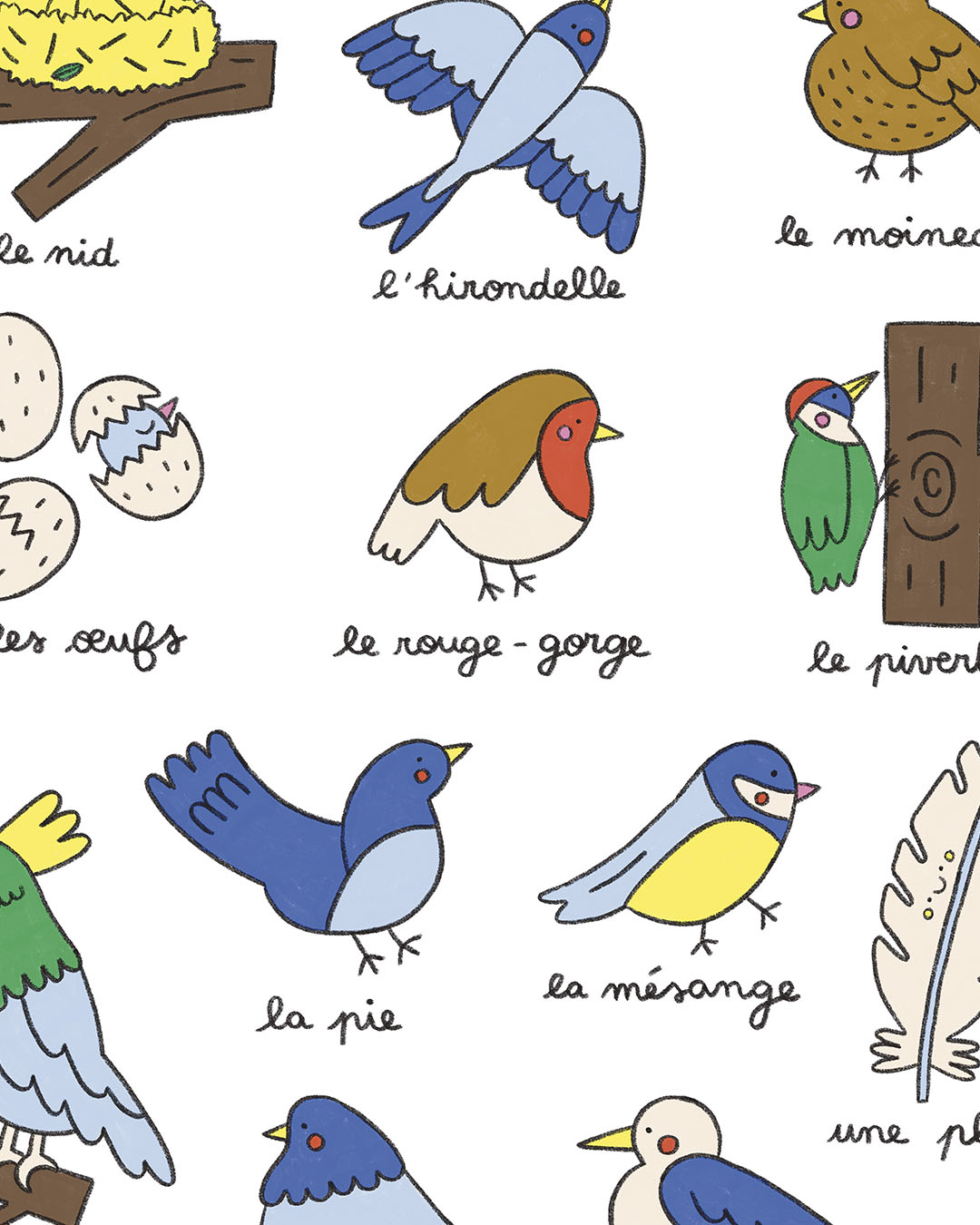 Imagier des oiseaux, affiche