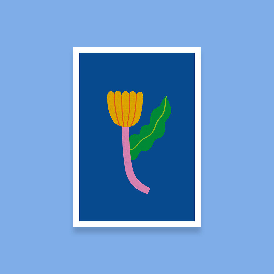 A tulip, A5